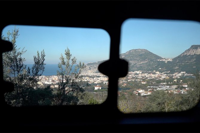 Shared Transfer from Sorrento to Naples Airport - Where you land: drop-off at Naples International Airport