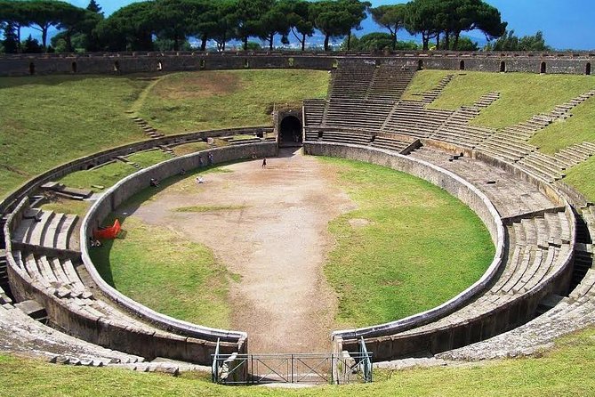 Skip-the-Line Pompeii and Vesuvius Tour - Vesuvius National Park: crater views, plus the climb reality