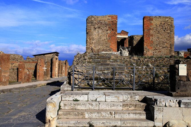 Skip the Line Pompeii Tour For Kids and Families w Special Guide - Who should book this Pompeii kids and families tour