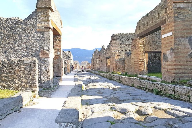 Skip-the-Line Pompeii & Volcano Vesuvius Day Tour w Hotel or Port Pickup - So, who is this tour best for?