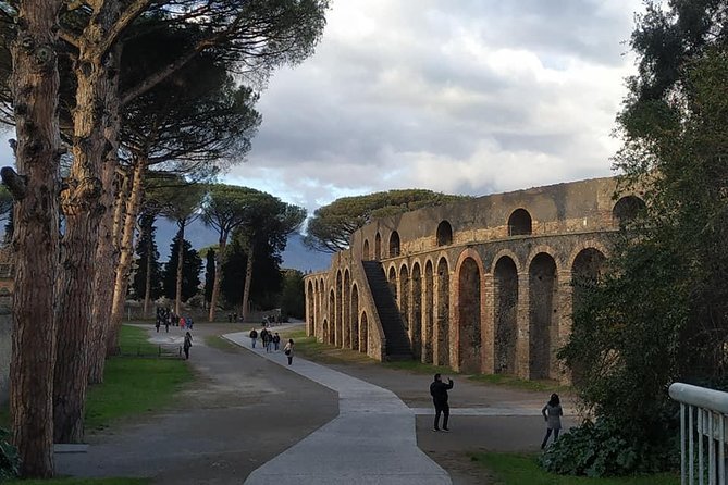 Skip the Line Private Pompeii Guided Tour - Price and Tickets: Does $82.65 Make Sense?