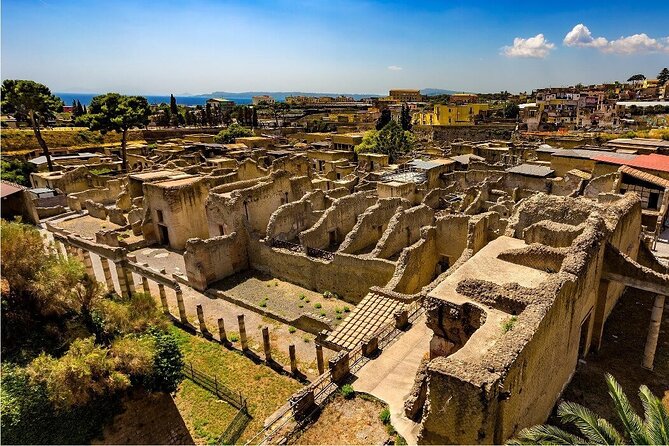 Skip the line Ticket Herculaneum Guided Tour 4 hrs - From Sorrento or Naples to Ercolano: the ride and timing that matter