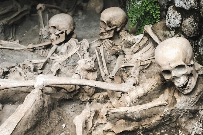 Skip the line Ticket Herculaneum Guided Tour 4 hrs - Skip-the-line entry plus headsets: the practical value
