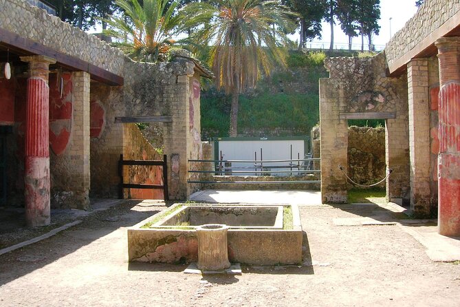 Skip the line Ticket Herculaneum Guided Tour 4 hrs - House of the Hotel: the biggest residence and the panoramic clue