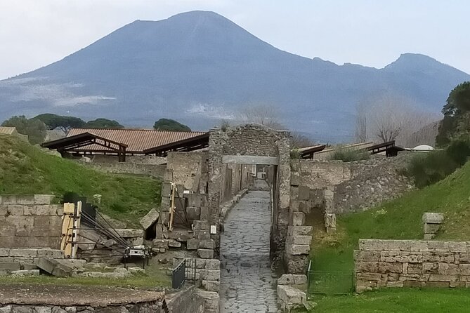 Small-Group Tour in Pompeii with a Real Archeologist, ticket included - Suburban Baths and Casa del Fauno: Pompeii beyond the walls