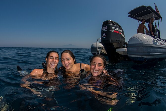 Snorkeling with Marine Biologist Expert from Sorrento - Punta Campanella snorkeling with marine biology expert: what you’re really buying