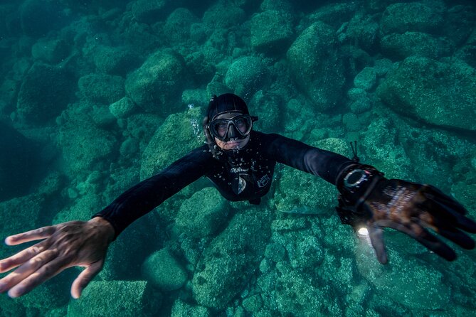 Snorkeling with Marine Biologist Expert from Sorrento - The cave-and-cove stops: why conditions decide the best moments