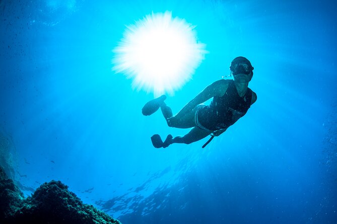 Snorkeling with Marine Biologist Expert from Sorrento - Gear, comfort, and the 4-hour rhythm on the water