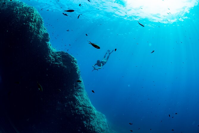 Snorkeling with Marine Biologist Expert from Sorrento - Price and value: is $115.24 for 4 hours fair?