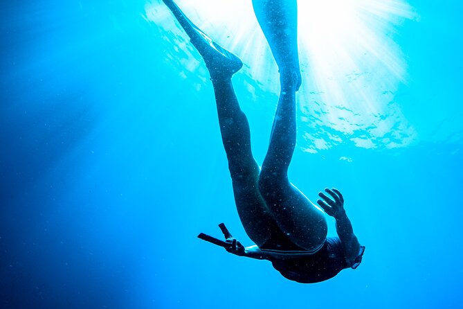 Snorkeling with Marine Biologist Expert from Sorrento - Who this snorkeling experience suits best