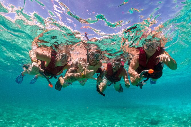 Snorkelling Experience - Key Highlights You’ll Feel Fast