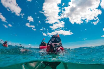 Snorkelling Experience - Why Punta Campanella is a smart choice for snorkeling near Sorrento