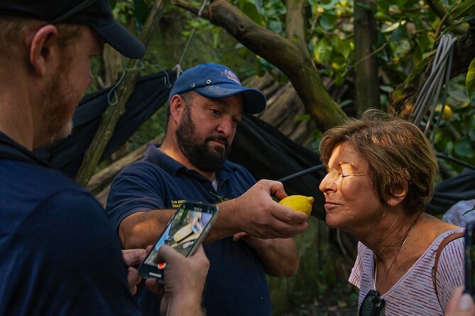 Sorrento Ape Tour, Lemon Garden, Mozzarella Show & Pizza Class - Key highlights you will care about
