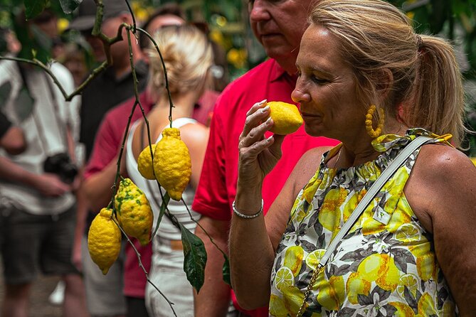 Sorrento Ape Tour, Lemon Garden, Mozzarella Show & Pizza Class - Why this Sorrento lemon-and-cheese day feels like the real deal