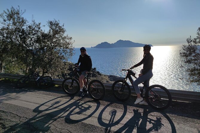 Sorrento: at the Vivaio by E-Bike with Limoncello Tasting - Stop 2: The lemon nursery in Massa Lubrense (and why it’s the real payoff)