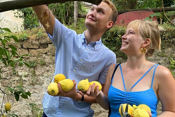 Sorrento: Authentic Lemon Experience at a Farm with Tastings - What the guide actually does for you