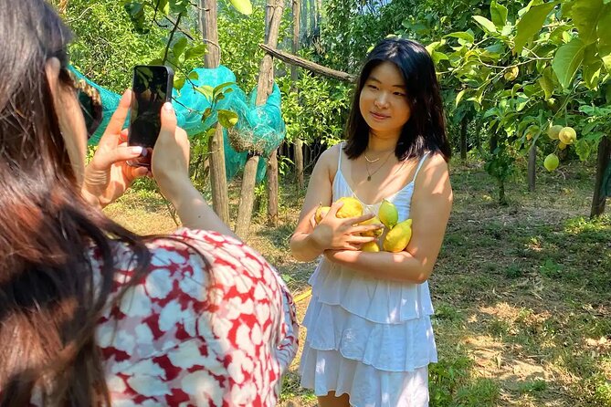Sorrento: Authentic Lemon Experience at a Farm with Tastings - Price and value: is $77.44 per person fair?