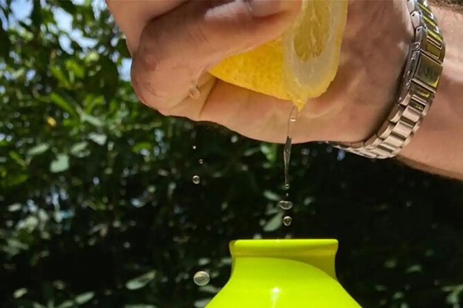 Sorrento: Authentic Lemon Experience at a Farm with Tastings - Getting there from Naples (and cruise days) without losing your mind