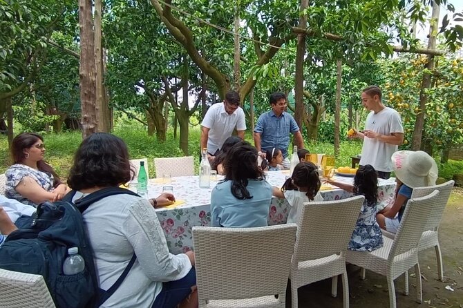 Sorrento: Authentic Lemon Experience at a Farm with Tastings - Best for who? The kind of traveler this tour fits