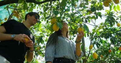 Sorrento: Authentic Lemon Experience in a Farm with Tastings - Meeting at Aranceto Storico: where the afternoon starts