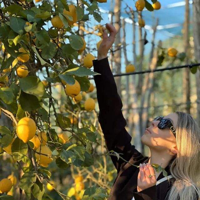 Sorrento: Authentic Lemon Experience in a Farm with Tastings - Limoncello and homemade marmalade: the classic Sorrento finish
