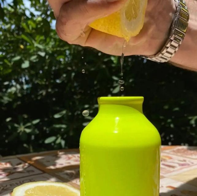 Sorrento: Authentic Lemon Experience in a Farm with Tastings - Value at $73: what you’re really paying for