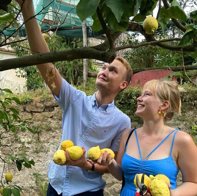 Sorrento: Authentic Lemon Experience in a Farm with Tastings - Should you book this Sorrento authentic lemon experience?