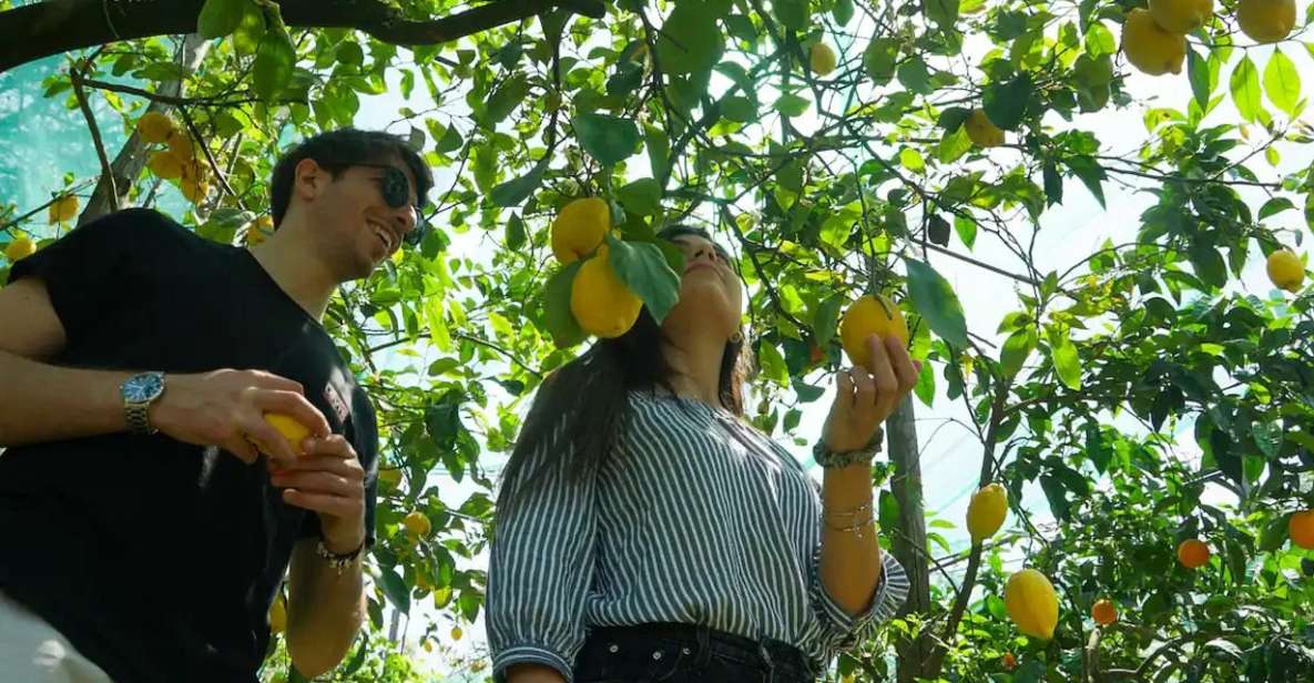 Sorrento: Authentic Lemon Experience in a Farm with Tastings - Meeting at Aranceto Storico: where the afternoon starts