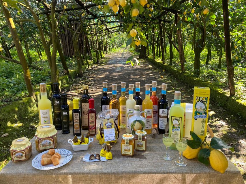 Sorrento: Coast E-Bike Tour with Limoncello Tasting - Key things that make this tour worth your time