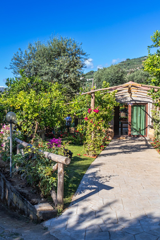 Sorrento Cooking Class: Taste the Tradition feel the Love - Getting to the villa: free transport and your pickup plan