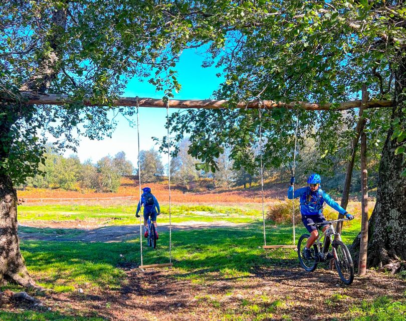 Sorrento: E-bike Oil & Lemon Tour with Tasting - Sant’Agata Sui Due Golfi: a scenic self-guided stretch