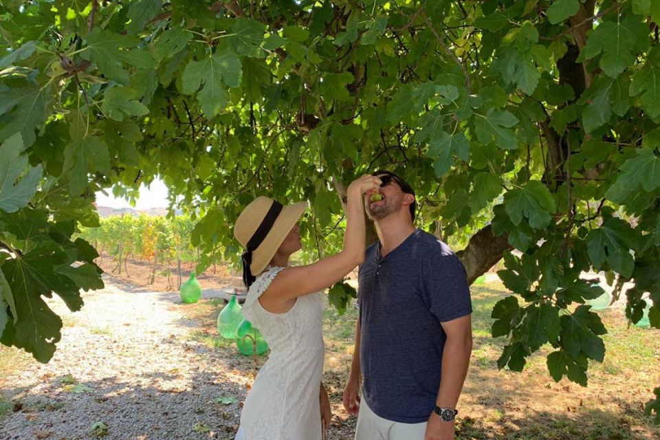 Sorrento: Family Farm Experience with Lunch - Walking under lemon groves and through vineyard country
