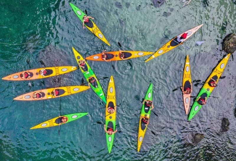 Sorrento: Guided Kayak Tour + Free 1h Paddleboarding - Key highlights worth your attention