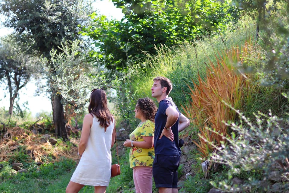 Sorrento: Guided Olive Mill Visit with Tastings - FAQ