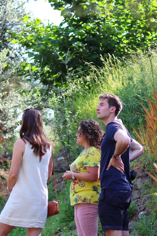 Sorrento: Guided Olive Mill Visit with Tastings - Who This Tour Suits Best (and Who Might Prefer Something Else)
