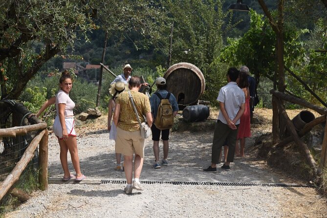 Sorrento Half-Day Farm Experience: Pizza, Cheese Making and Wine - A Farm Above Sorrento: Why This Pizza-Cheese-Wine Tour Works