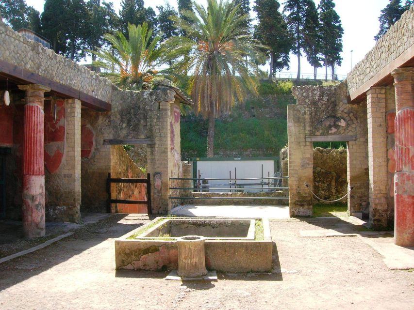 Sorrento: Herculaneum Day Trip with Entry and Lunch - Key Points Worth Knowing