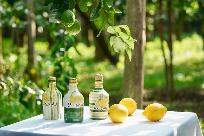 Sorrento Lemon Grove Experience with Local Product Tasting - La Limonaia Lemon Grove: Sorrento’s famous Oval lemons up close