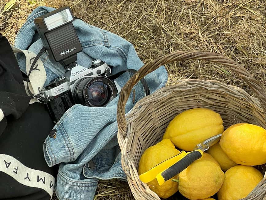 Sorrento: Lemon Picking & Tasting Tour - Two farms, Tonino and Giovanni, and what that changes for you
