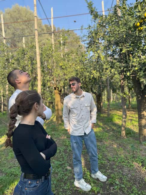 Sorrento: Lemon Picking & Tasting Tour - How long it takes, and how to plan your day