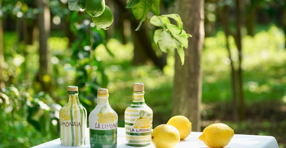 Sorrento Lemon Tour - Key Highlights You Should Care About