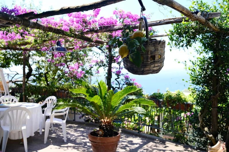 Sorrento: Marì Cooking Class in a Family Farm w/ Coast View - The four-hour flow: what happens from arrival to your final bite