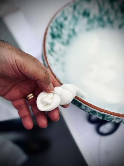 Sorrento: Mozzarella experience. Say CHEESE with us! - Lemon orchard tour: walking among the gold