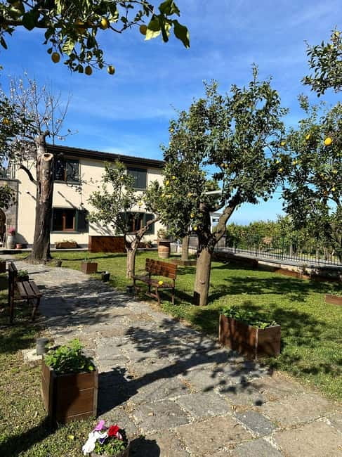 Sorrento: Mozzarella experience. Say CHEESE with us! - Typical and organic tastings, plus wine with the class