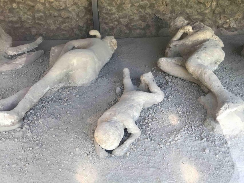 Sorrento: Pompeii & Herculaneum Day Trip Entry and Lunch - Price and value: is $175.59 per person fair?