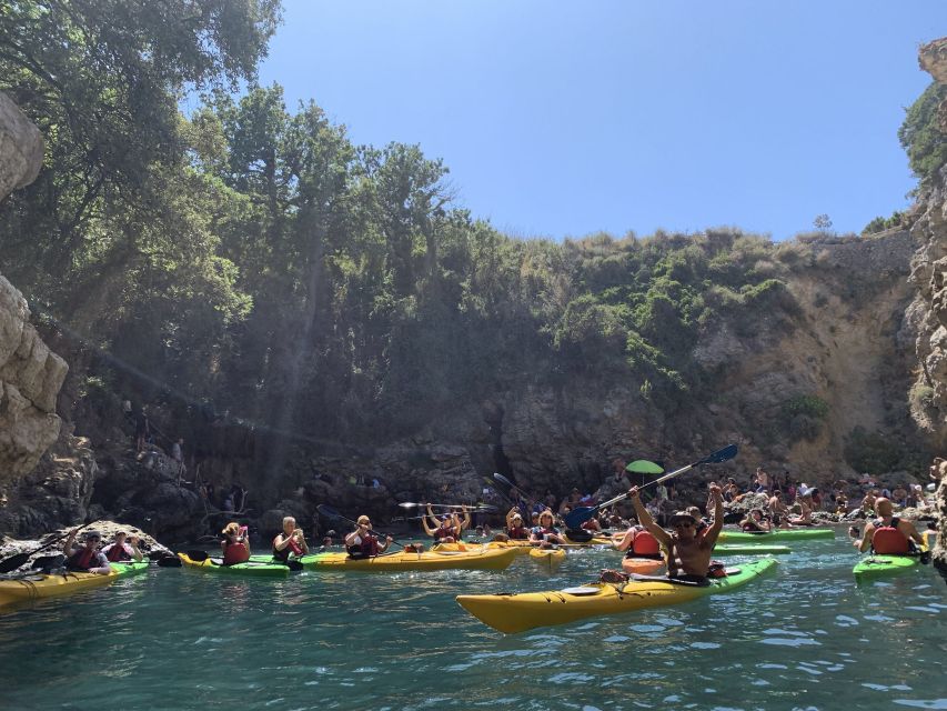Sorrento: Premium Kayaking Experience with Swimming - Key highlights before you paddle