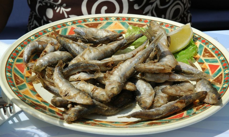 Sorrento: Sea-Fishing Tour with Lunch Onboard - Price and value: is $185.79 worth it?