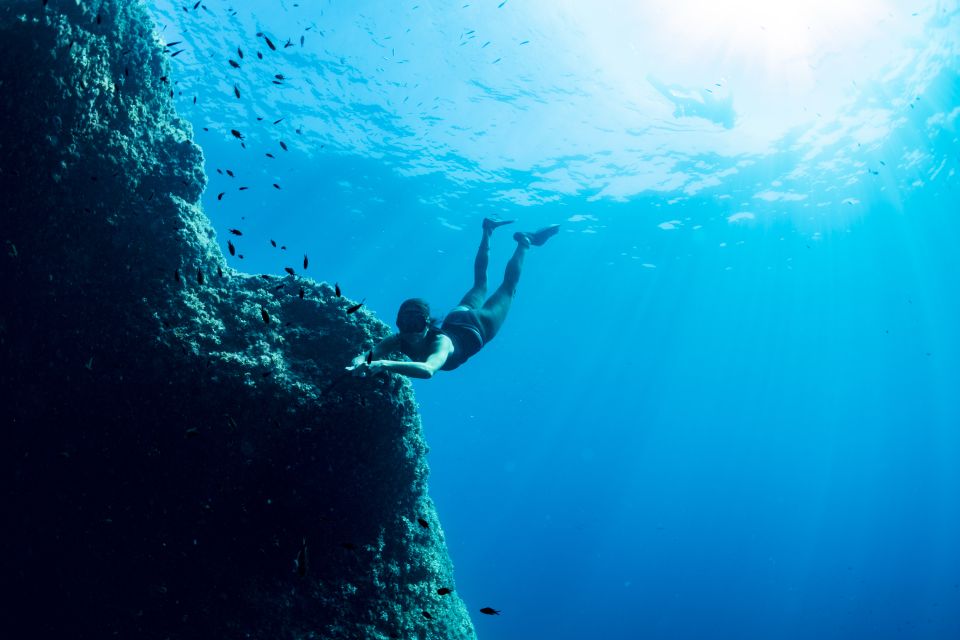 Sorrento: Snorkeling morning tour with a Marine Biologist. - Key highlights at a glance