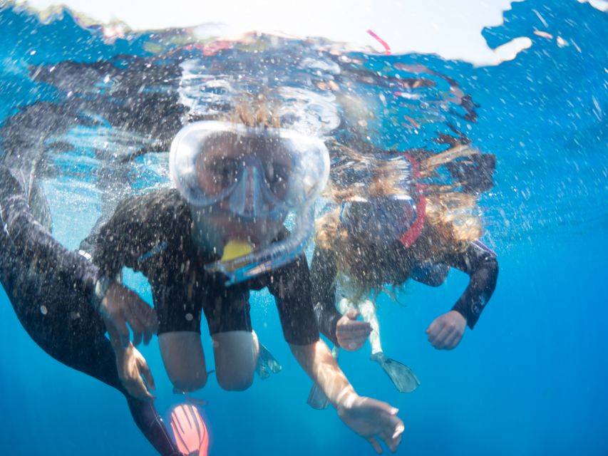 Sorrento: Snorkeling morning tour with a Marine Biologist. - Getting started: Via Marina Grande and the safety briefing