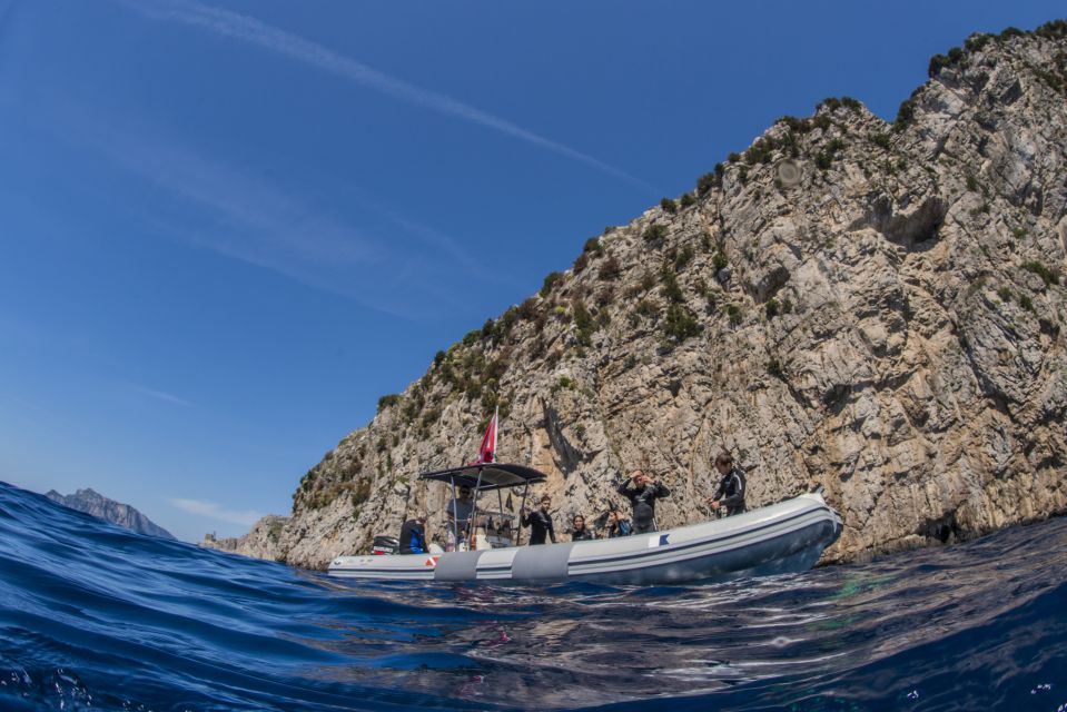Sorrento: Snorkeling morning tour with a Marine Biologist. - Break time, photos, and scenic views (about 30 minutes)